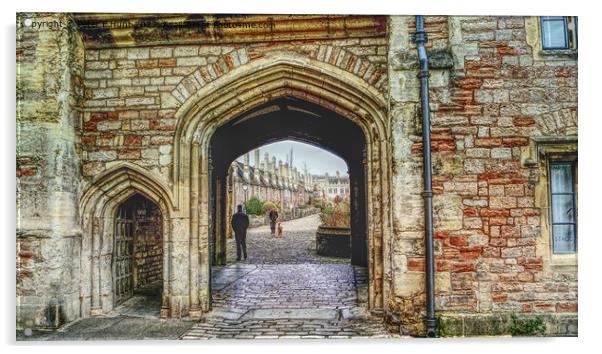 Old Entrance Gateway To Vicars' Close Wells Acrylic by Peter F Hunt