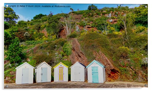 Beach Huts At Goodrington Devon Acrylic by Peter F Hunt