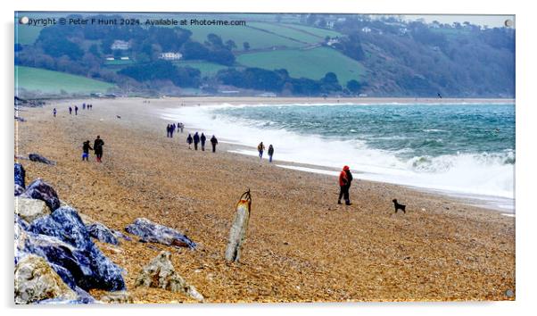 A Wild And Windy Slapton Sands Acrylic by Peter F Hunt