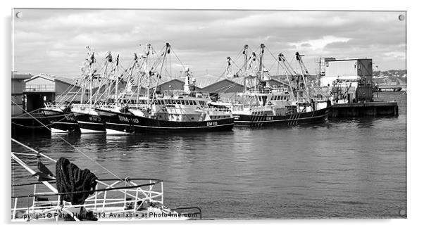 Brixham Trawlers in Port Acrylic by Peter F Hunt