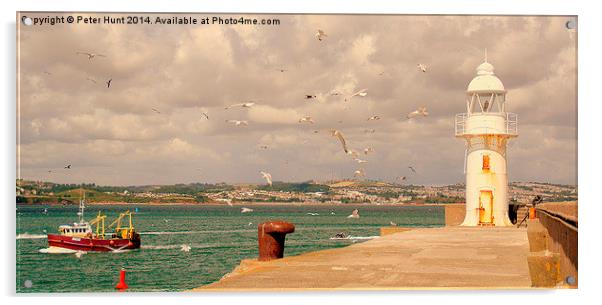  Seagulls Over The Breakwater Acrylic by Peter F Hunt