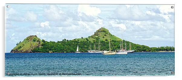 Pigeon Island St Lucia Acrylic by Peter F Hunt