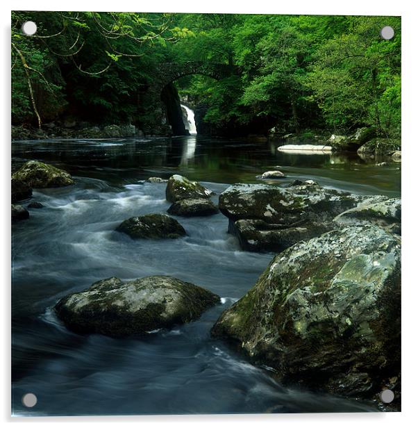 River Braan The Hermitage Dunkeld Acrylic by David Brown