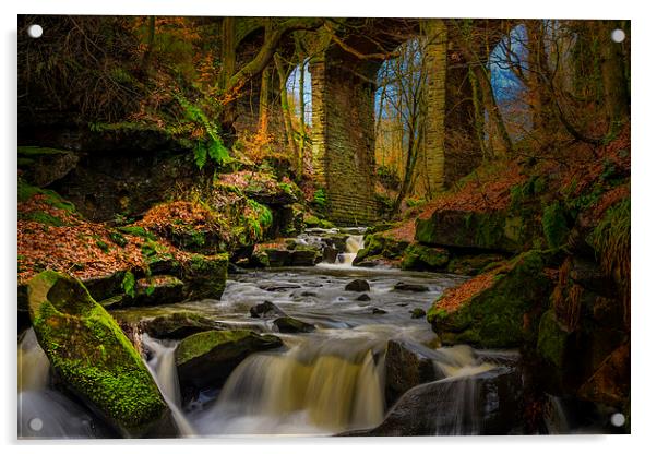 Healey Dell Acrylic by Steven Purcell