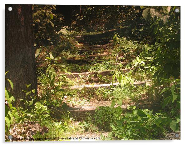 Up the Steps Acrylic by Pics by Jody Adams