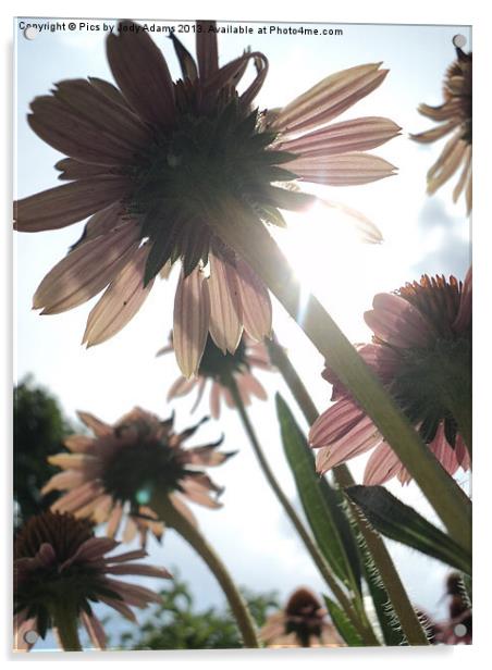 Cornflowers to the Sky Acrylic by Pics by Jody Adams