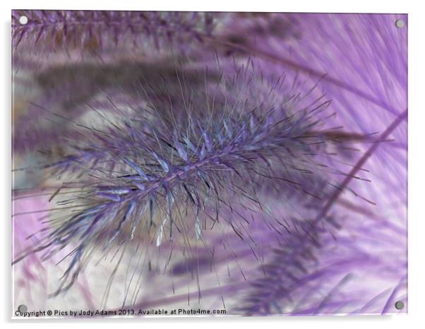 Lavender Grasses Acrylic by Pics by Jody Adams