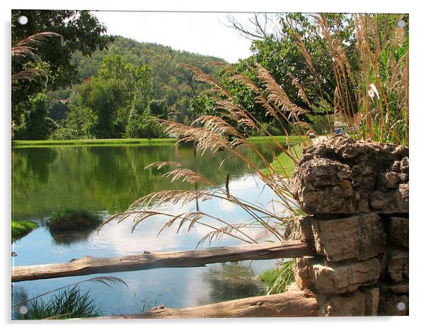 At the Large Pond Acrylic by Pics by Jody Adams