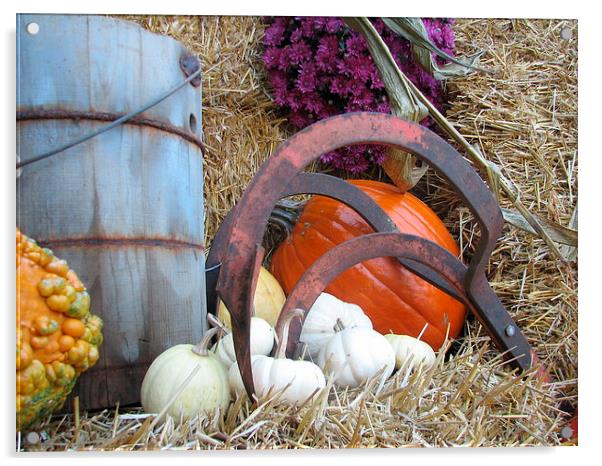 Harvest Time Acrylic by Pics by Jody Adams