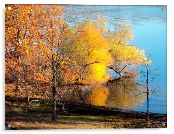Trees at the Lake Acrylic by Pics by Jody Adams
