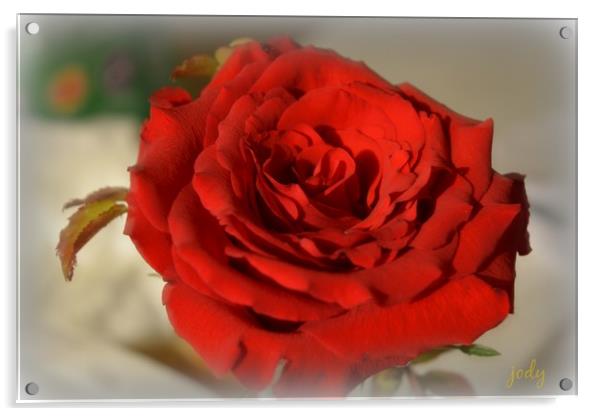 Red Red Rose Acrylic by Pics by Jody Adams