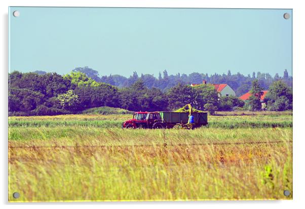 Tractor in the fields Acrylic by Gemma Shipley