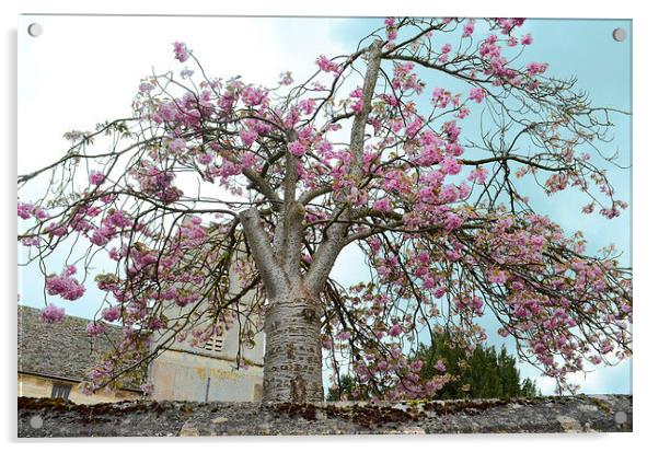 Blossom Tree Acrylic by Gemma Shipley