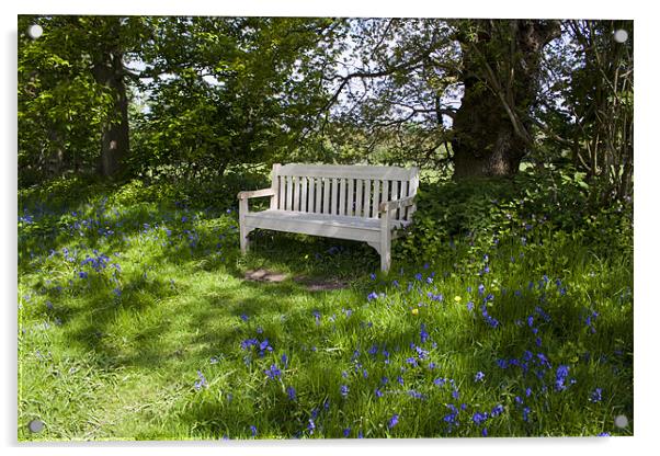 Bench in the woods Acrylic by David Skone