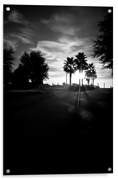  Florida Sunset Acrylic by Jon Lingwood