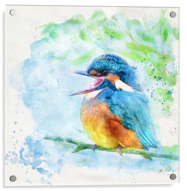 Happy kingfisher Acrylic by Silvio Schoisswohl