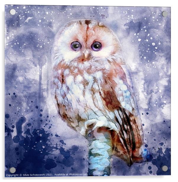 Cute Owl Acrylic by Silvio Schoisswohl