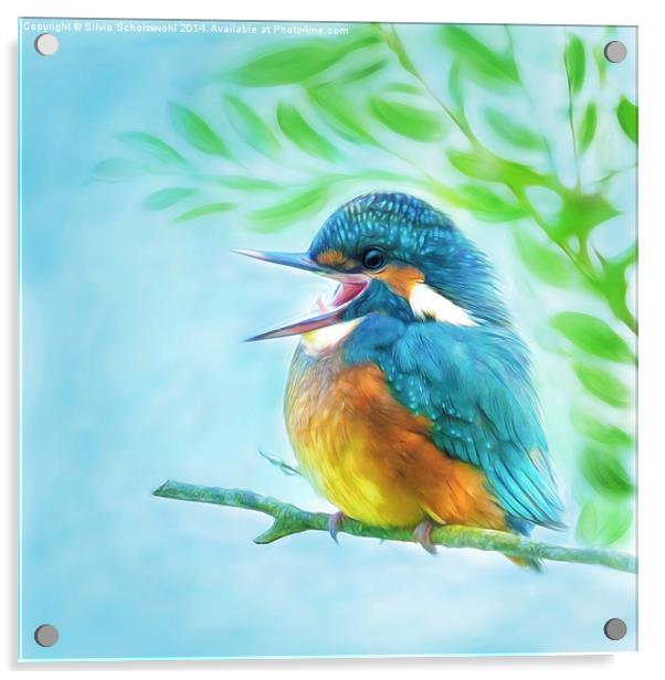  Happy little kingfisher Acrylic by Silvio Schoisswohl