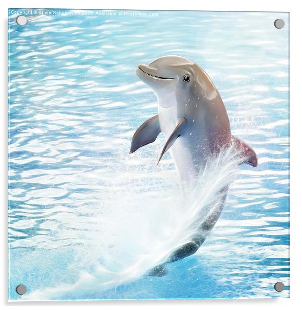  cute dolphin Acrylic by Silvio Schoisswohl