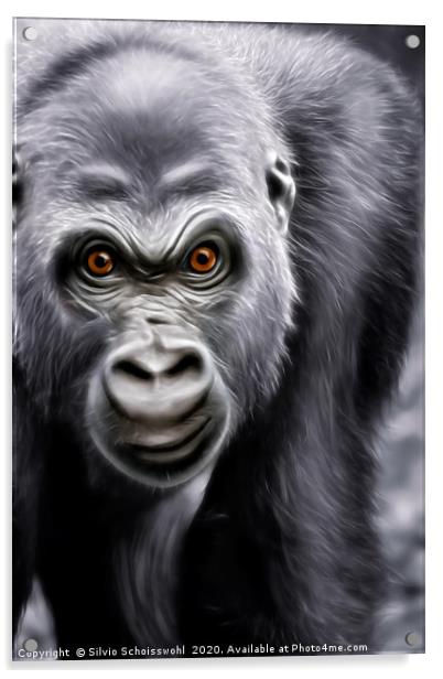 Gorilla  Acrylic by Silvio Schoisswohl