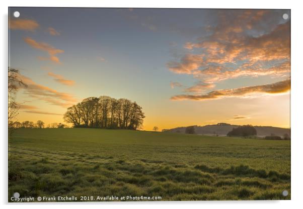 Dewy Morning, Maiden Bradley Acrylic by Frank Etchells