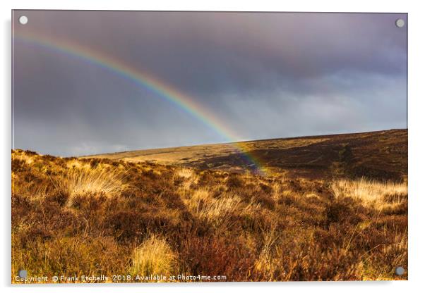 Dartmoor Rainbow 1 Acrylic by Frank Etchells