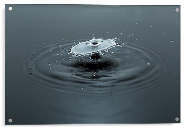Water Drop Magic Acrylic by Brian Wilson