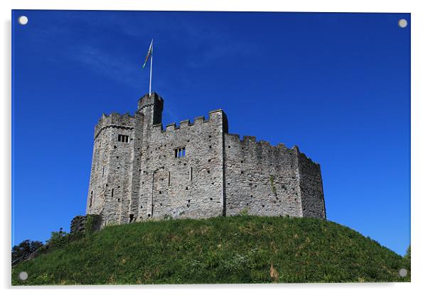 Cardiff Castle Acrylic by Hayley Dew