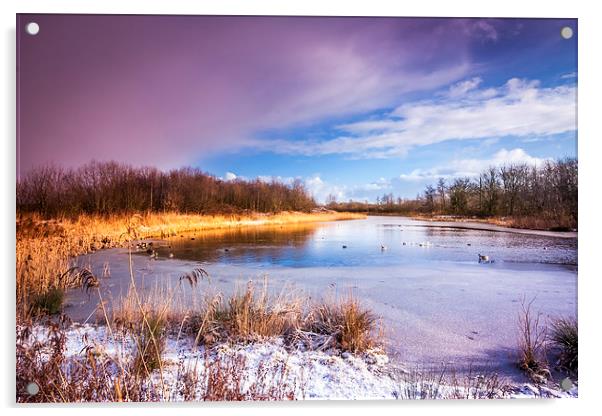 Serene Winter Wonderland Acrylic by P D