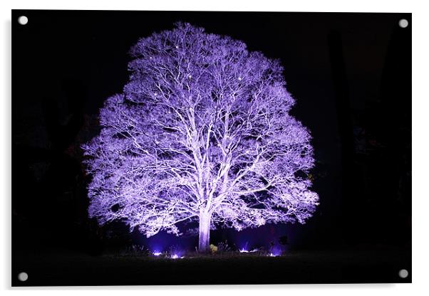 Tree at Night Acrylic by Simon Cadby