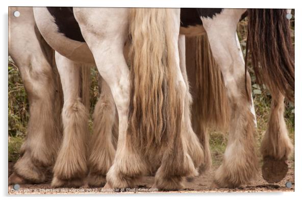 Feathery Horses Acrylic by Christine Kerioak