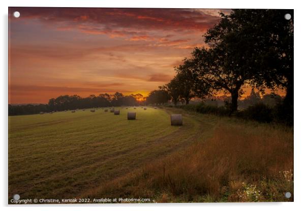 Sussex Hayfield at Dawn Acrylic by Christine Kerioak