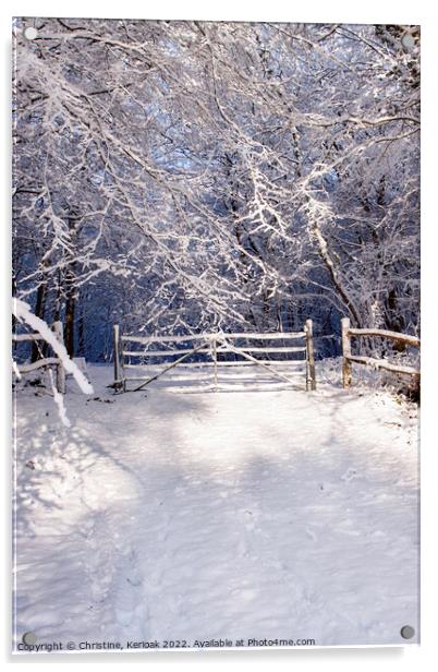 Entrance Gate to Winter Wonderland Acrylic by Christine Kerioak