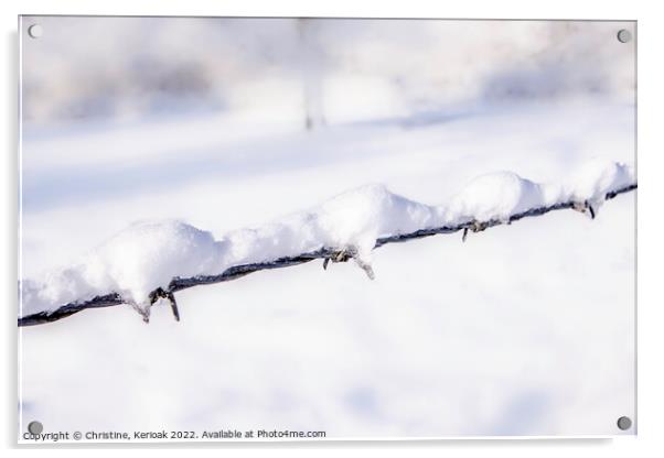 Snow Covered Barbed Wire Acrylic by Christine Kerioak