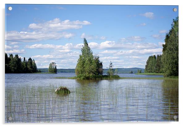 Summer Lake Acrylic by Hemmo Vattulainen