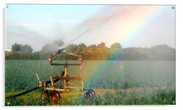 Rainbow and Sprinkler Acrylic by Andrew Steer