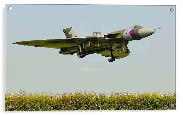 Vulcan over the hedge Acrylic by Andrew Steer