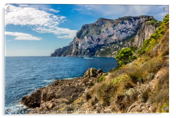 Capri island in a beautiful summer day in Italy Acrylic by Dragomir Nikolov