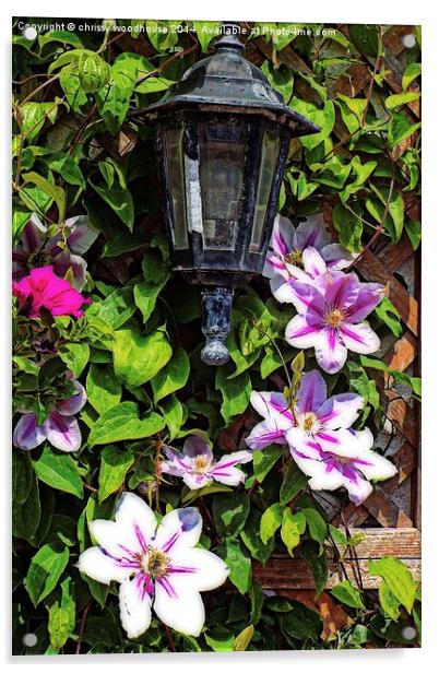 clematis around a lantern Acrylic by chrissy woodhouse