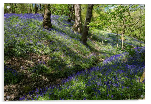 Blue Bell Carpet Acrylic by Andy McGarry