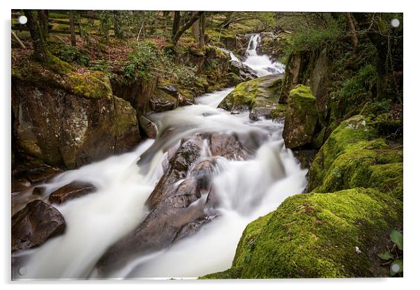  Whillan Beck, Lake District Acrylic by Andy McGarry