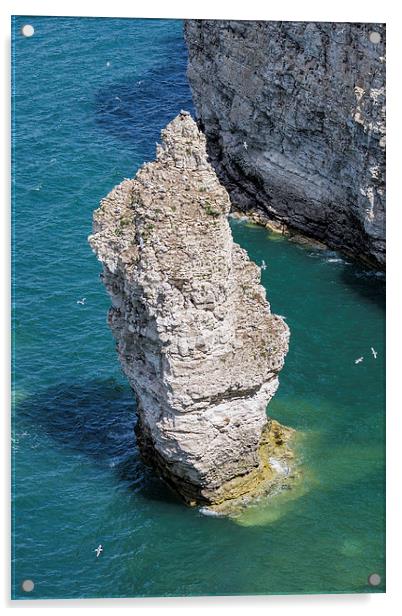  Stack at Flamborough Head Acrylic by Andy McGarry