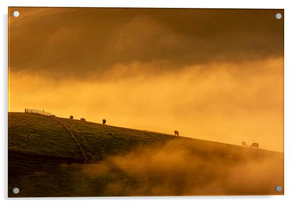 South Downs Misty Morning Acrylic by Malcolm McHugh