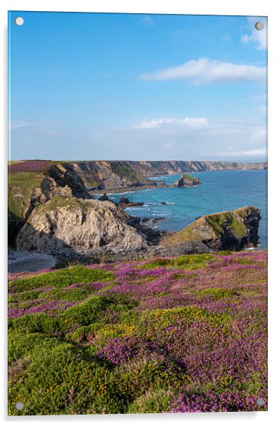 North Cliffs -Reskajeage Downs, Cornish North Coas Acrylic by Malcolm McHugh