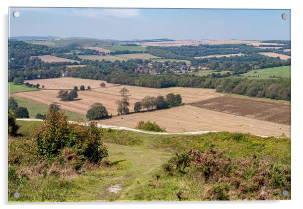 Majestic View of Findon Village Acrylic by Malcolm McHugh