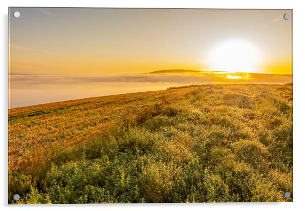 Valley Misty Morning Acrylic by Malcolm McHugh