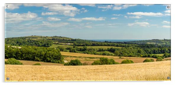 Valiers Bottom to Cissbury Ring Acrylic by Malcolm McHugh