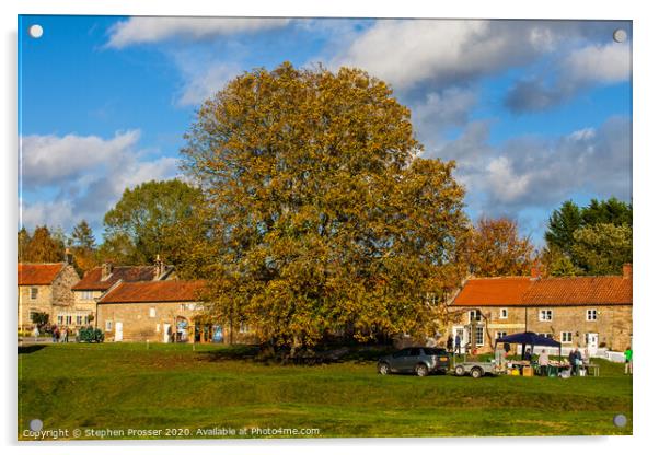 Village green, Hutton le Hole Acrylic by Stephen Prosser