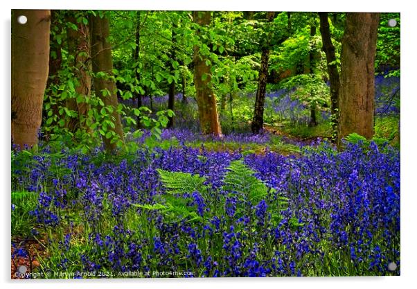 Deep in the Bluebell Wood Acrylic by Martyn Arnold