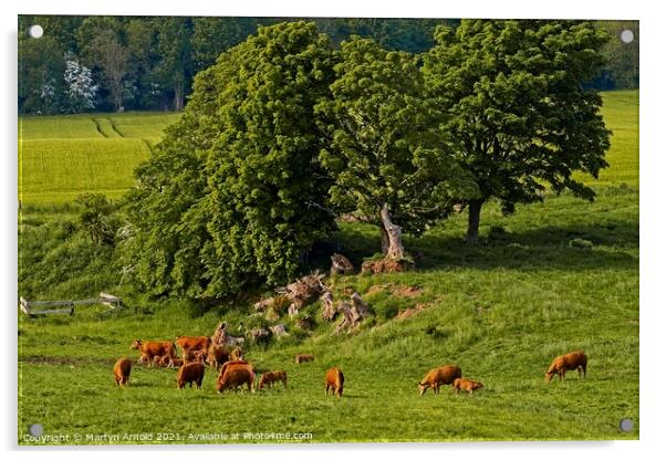 Farming Countryside Scene Acrylic by Martyn Arnold